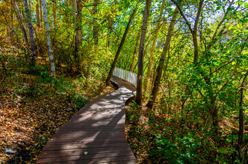 A winding path made of wood in the park in summer. Walking in the woods.