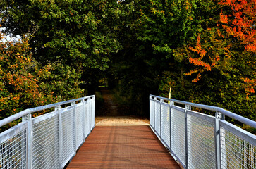 bridge in autumn