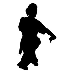 silhouette of a kungfu martial arts moves with transparent background