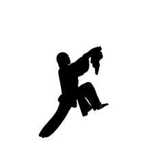 silhouette of a kungfu martial arts moves with transparent background