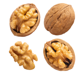 Set of delicious walnuts cut out