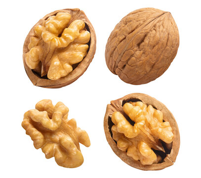 Set of delicious walnuts cut out