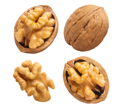 Set of delicious walnuts cut out