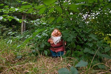 Funny garden gnome in a green garden.