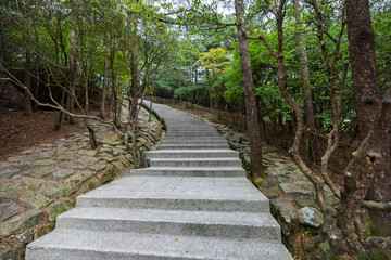 Obraz premium Mountain passageway in Huangshan Natural Scenic Area