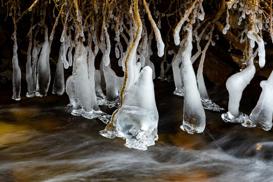 Frozen roots with water drops hanging above a flowing creek in Sauerland Germany. Translucent crystal clear icicles forming bell like structures while melting. Longtime exposure on a cold winters day.