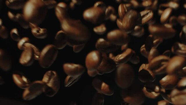 焙煎したコーヒー豆