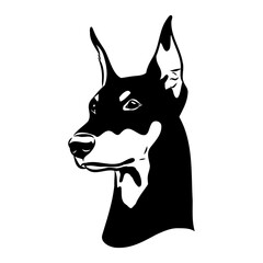 Doberman, dog, black and white vector illustration. Portrait. The head of a domestic animal. Tattoo. Clipart, laser cutting. Stock image isolated on white background.