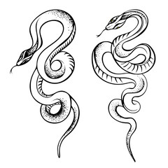 Vector illustration of snakes, icon, sketch of an artistic tattoo, logo, hand drawing, contour drawing of a snake