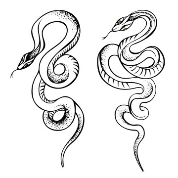 Vector illustration of snakes, icon, sketch of an artistic tattoo, logo, hand drawing, contour drawing of a snake