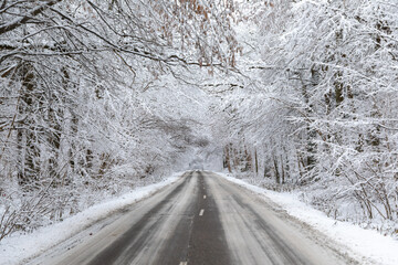 The country road in the deep winter - 564265560