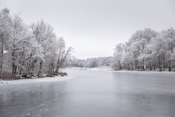 The Willgaiten lake in the winter, Kaliningrad - 564265722