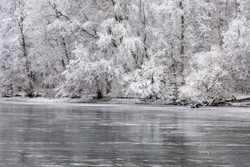 The Willgaiten lake in the winter, Kaliningrad - 564265760