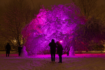 The silhouettes of people near decorated trees in the winter park at night - 564265972