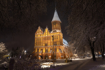 The Cathedral of Kaliningrad in the winter night - 564265978