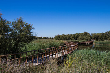 Fototapeta na wymiar Landscape in Las Tablas de Daimiel National Park, Ciudad Real, Castilla La Mancha, Spain