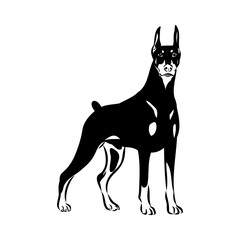 Doberman, dog, black and white vector illustration. Portrait. The head of a domestic animal. Tattoo. Clipart, laser cutting. Stock image isolated on white background.