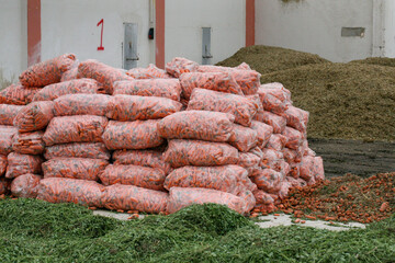 a pile of freshly harvested carrots are in packages. 