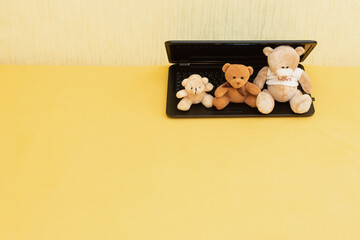 Funny teddy bears and laptop, copy space