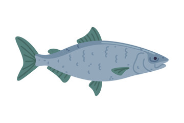 Trout as Seafood and Fresh Sea Product Vector Illustration