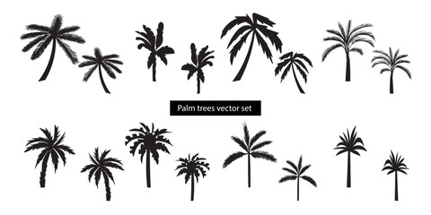 Palm trees black silhouette vector set