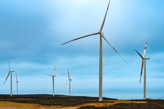 Windmills at wind farm, Coquimbo Region, Chile