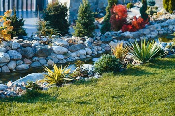 Backyard Garden Modern Design Landscaping. Landscaped Back Yard. Decorative Garden With Pathway Or Walkway From Stone And Rocks Or Gravel. Back Yard Or Park Lawn With Stony Natural landscaping.