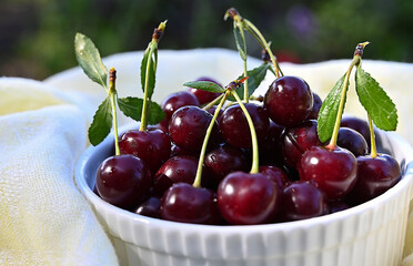 ripe cherry berries on a branch