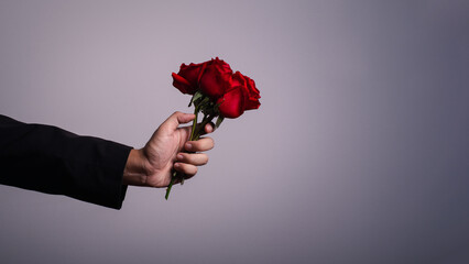 man hand wearing suite with red rose flower on background. holidays card with copy space valentine day celebration concept.