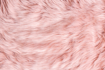 Pink fur texture top view. Pink sheepskin background. Fur pattern. Texture of pink shaggy fur. Wool texture. Sheep fur close up