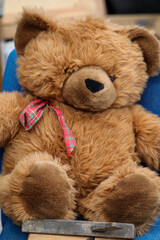 Ein sehr alter Teddybär. Der Traum eines jeden Kindes ein echter Teddybär.