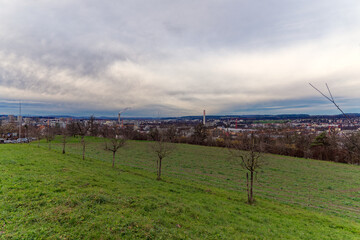 Orchard with apple trees, meadow and forest in the background at Swiss City of Zürich district Schwamendingen on a cloudy winter day. Photo taken January 14th, 2023, Zurich, Switzerland.