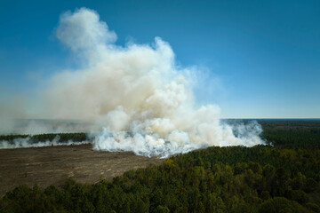 Fototapeta na wymiar Aerial view of white smoke from forest fire rising up polluting atmosphere. Natural disaster concept