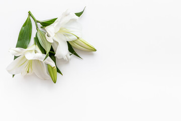 Flowers heads of white lilies. Floral mock up. Mourning or funeral background