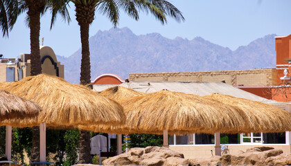 Straw shade umbrellas under green palm trees in tropical region against blue vibrant sky in summer