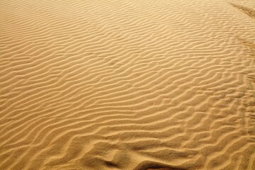 Desert sand background pattern