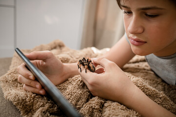A child with a pet spider rests after school and watches a video on a tablet