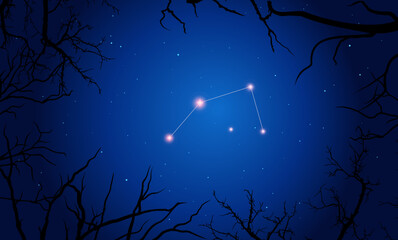 Illustration  of Antila constellation. Bright constellation in open space, blue sky. Starry sky behind tree silhouette