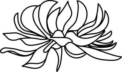 Watercolor flower black lines. Hand-drawn blooming flowers with watercolour on a white isolated background. Perfect for wedding invitation, greetings card, posters, party decor. 