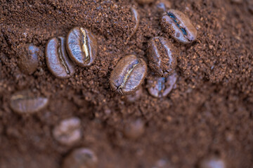 Macro photo of coffee beans in ground coffee.
