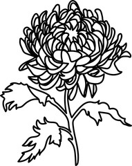 Watercolor flower black lines. Hand-drawn blooming flowers with watercolour on a white isolated background. Perfect for wedding invitation, greetings card, posters, party decor. 