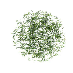 wild field grass, top view, isolated on a transparent background, 3D illustration, cg render
