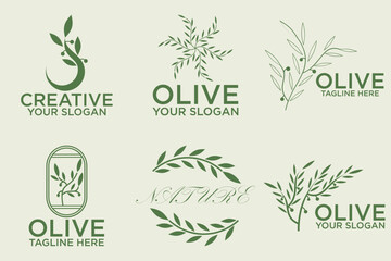 olive branch logo design with 6 options