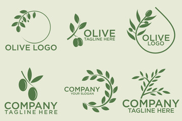 olive branch logo design with 6 options