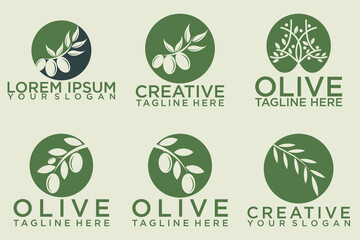 olive branch logo design with 6 options