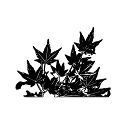 silhouettes of plant leaves for background and border ornaments