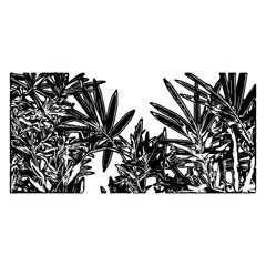 silhouettes of plant leaves for background and border ornaments