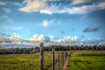 fence going on forever