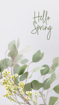 Spring holiday card with white flowers and green leaves on light background with inscription Hello Spring. Soft focus image style
