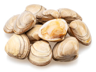 Edible raw clams isolated on white background. Delicacy food.